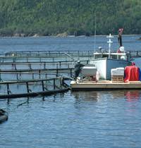 Aquaculture not in New Canadian Fisheries Plan, But LeBlanc Calls for Scientific Transparency